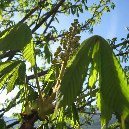 Haus Am Dorfplatz Uttendorf