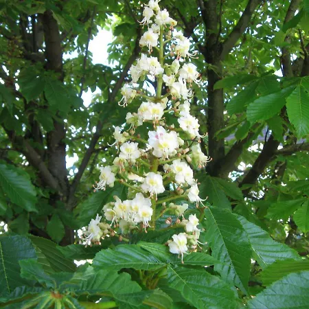 Haus Am Dorfplatz Apartmán Uttendorf