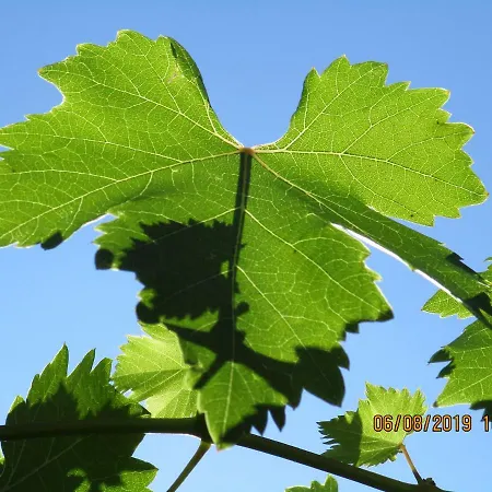 Haus Am Dorfplatz Apartmán