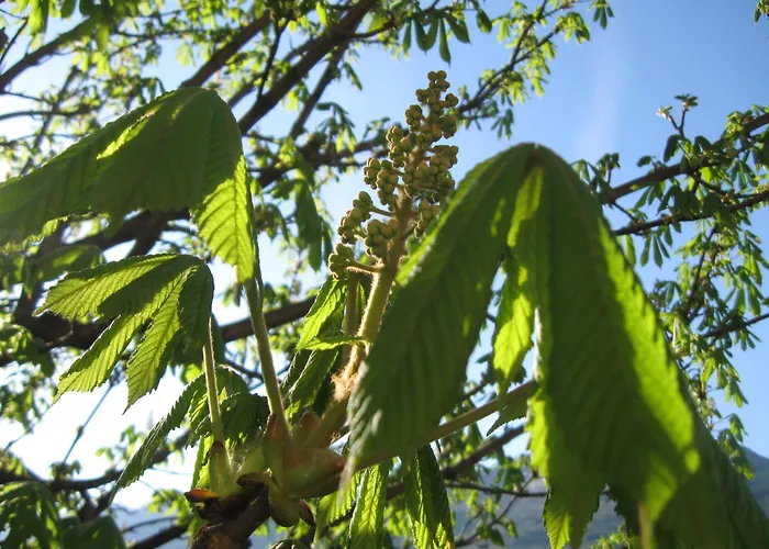 Haus Am Dorfplatz Uttendorf