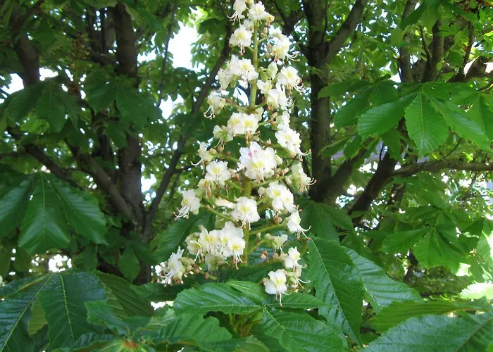 Haus Am Dorfplatz Apartament Uttendorf