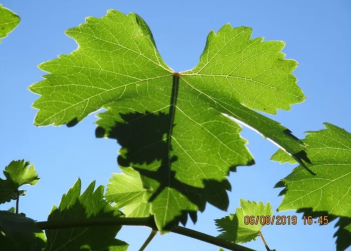 Haus Am Dorfplatz Apartament