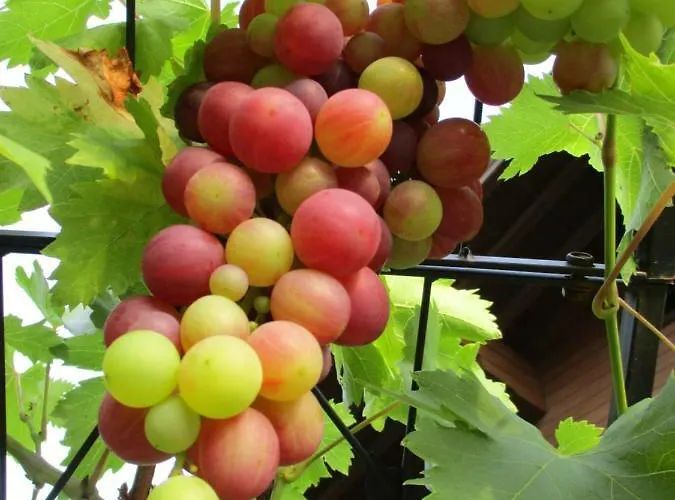 Apartament Haus Am Dorfplatz Uttendorf